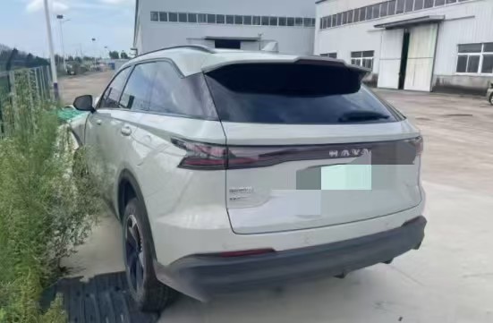 Haval Fierce Dragon MAX 2025 car image #4