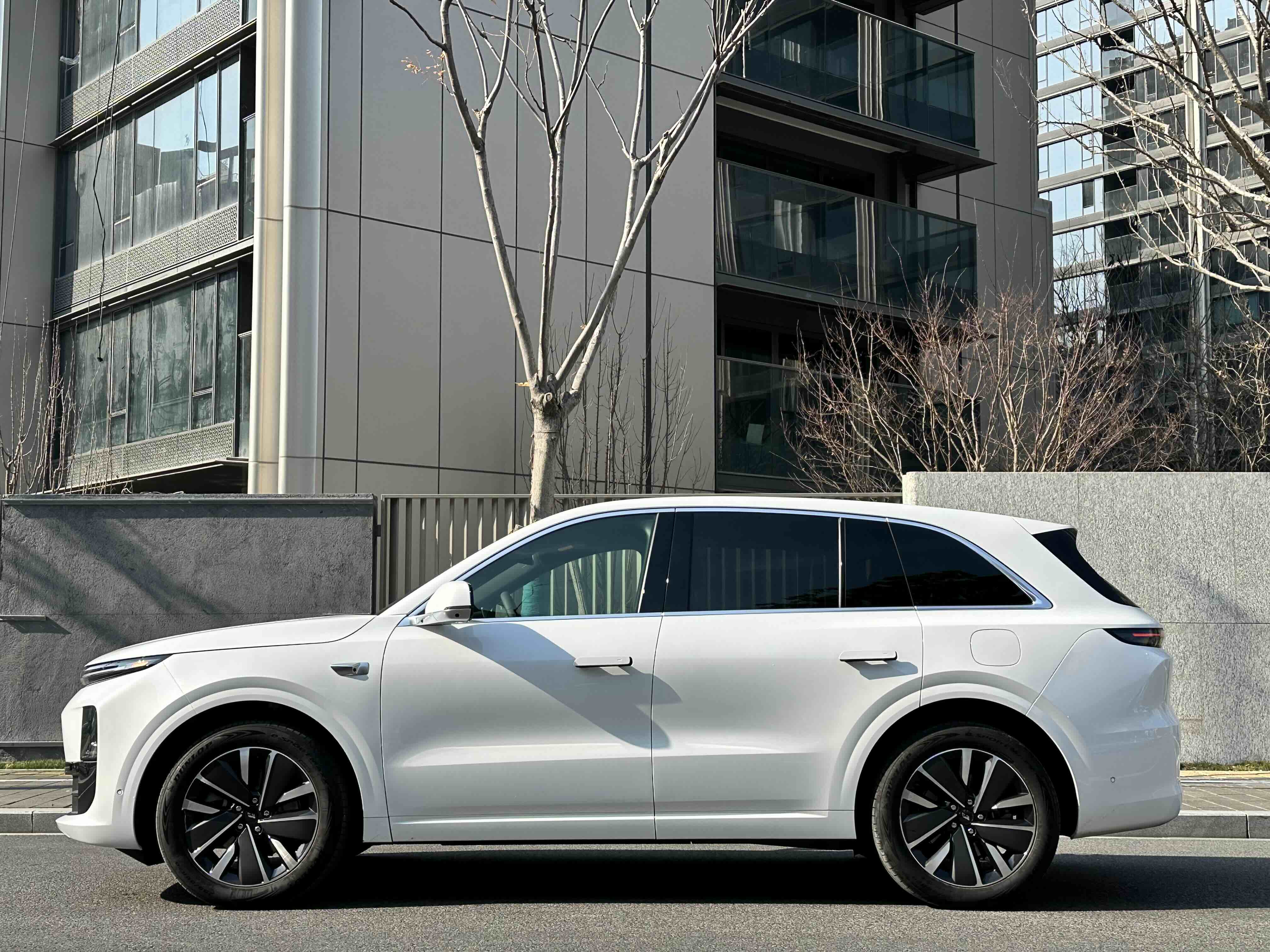 Li L6 2025 image de voiture #4