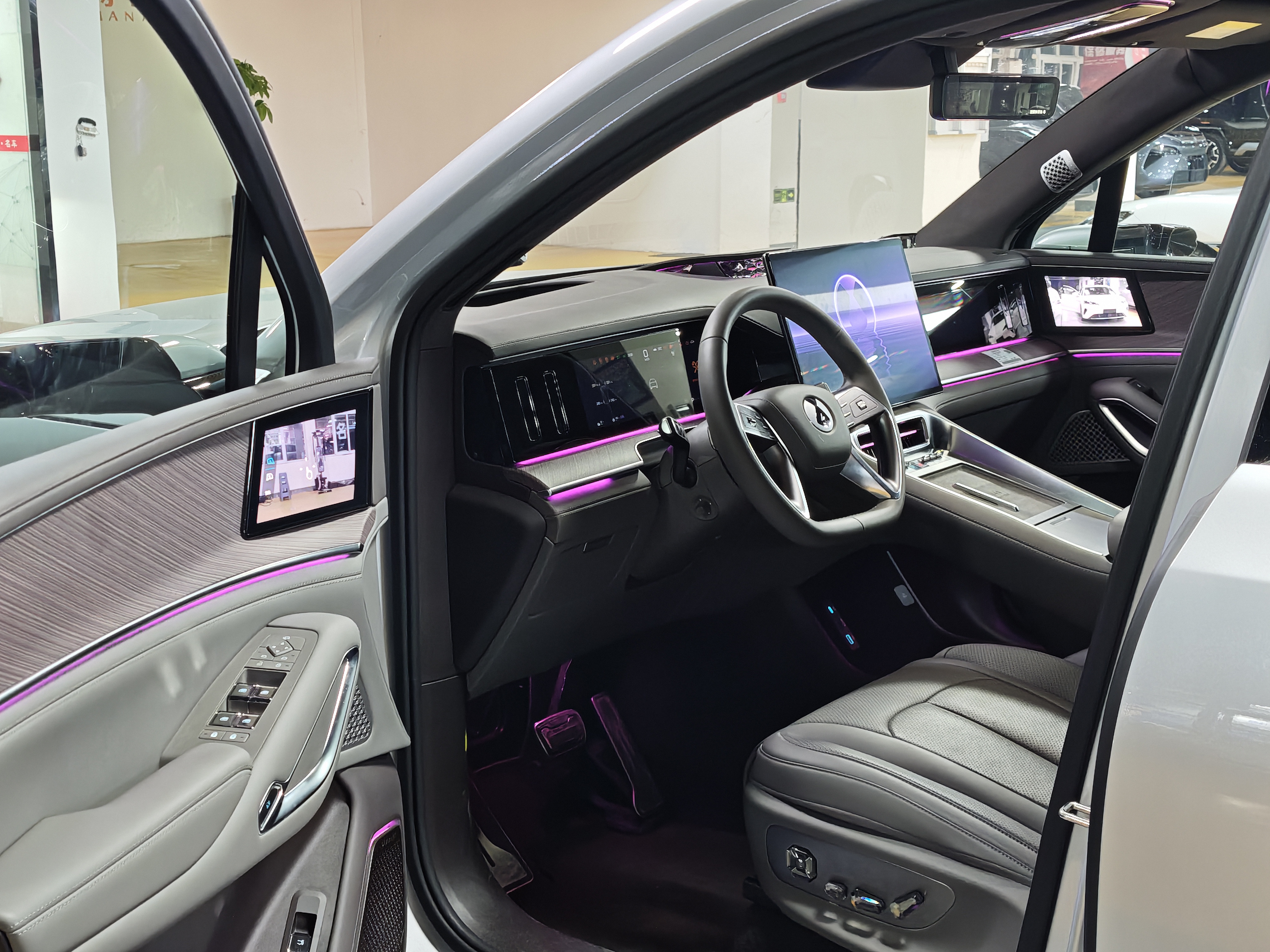 Denza N9 2025 imagem de carro #4