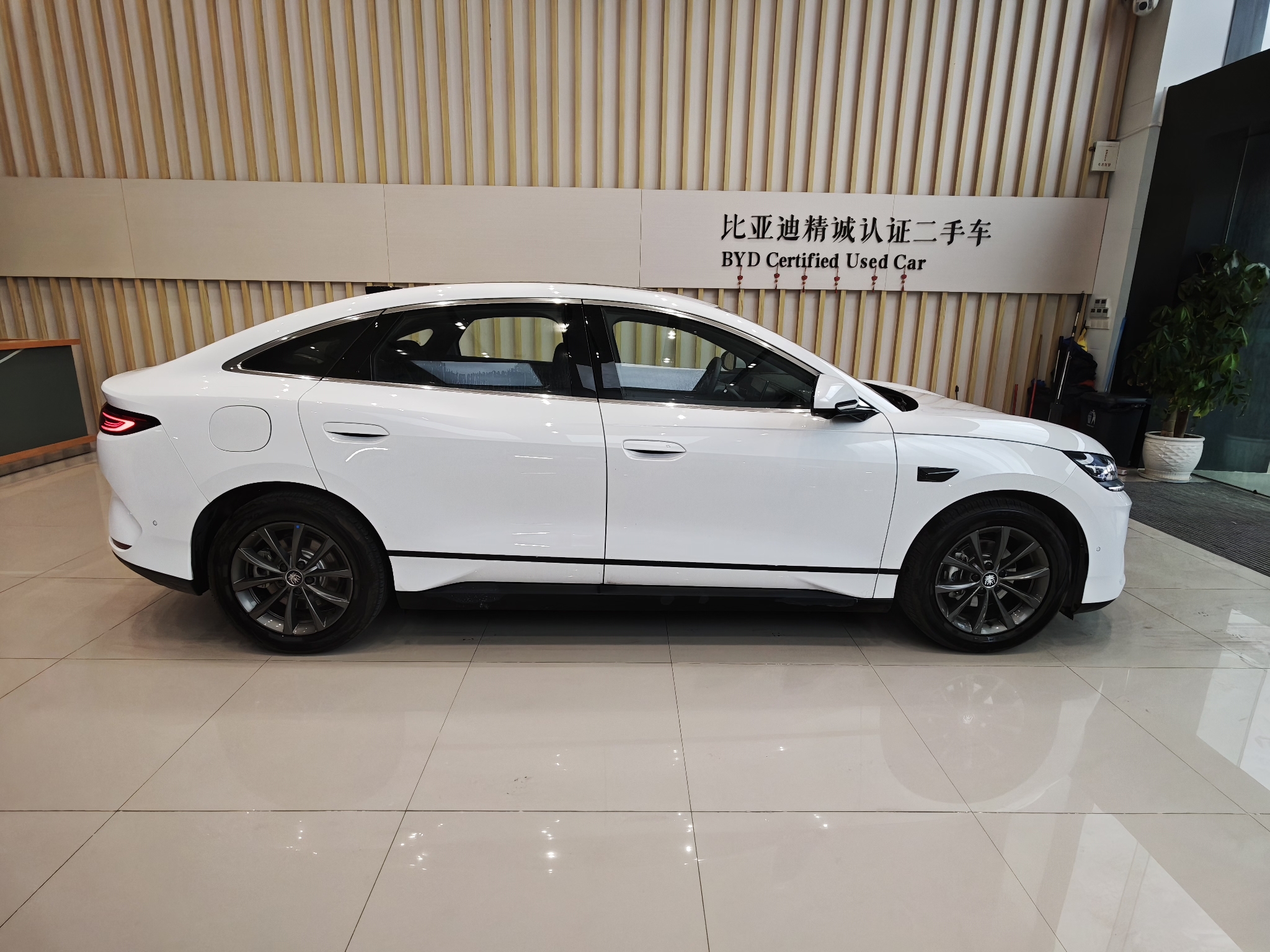 BYD Qin L 2025 car image #4