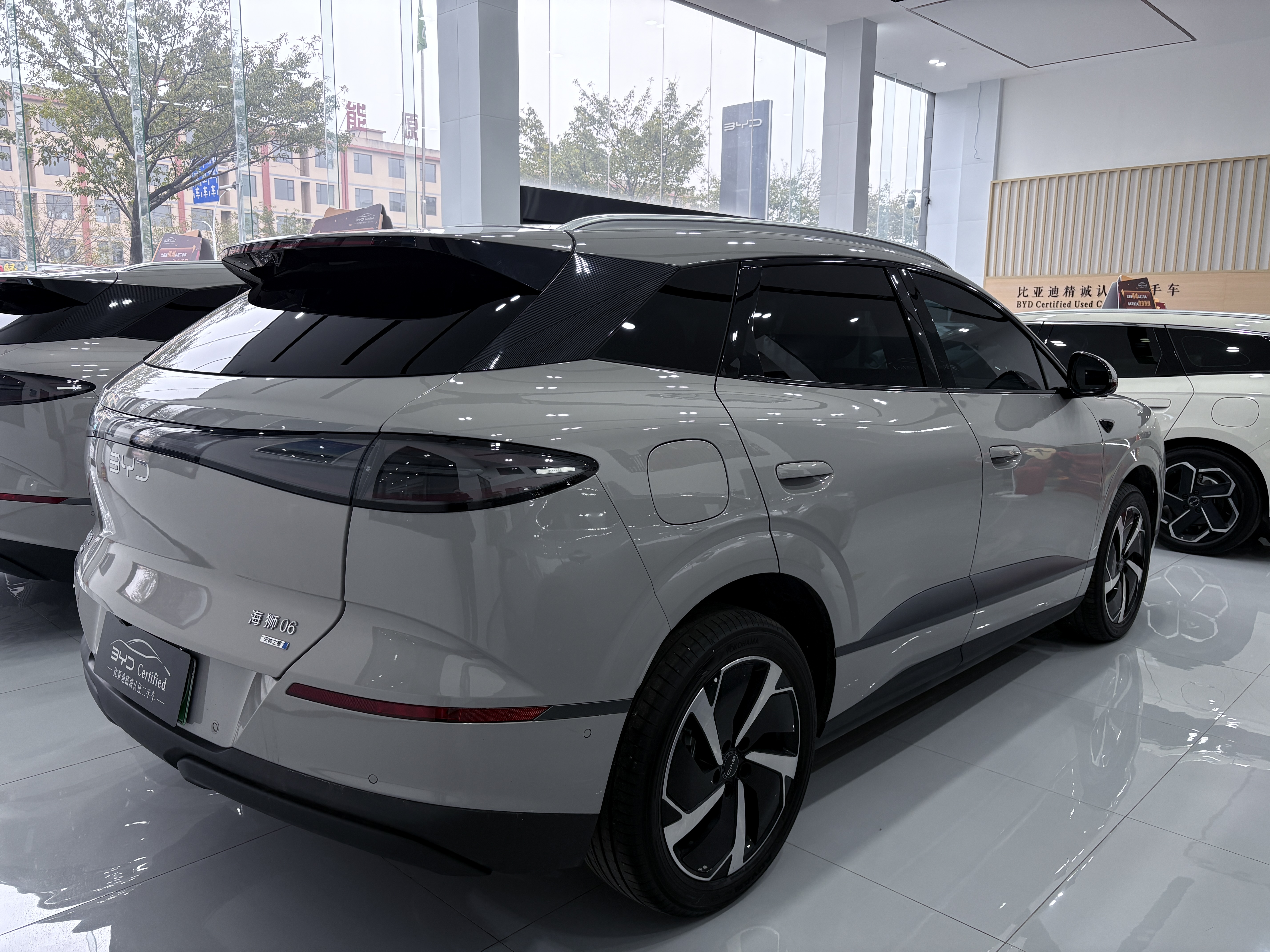 BYD Sea Lion 06 New Energy 2025 car image #4