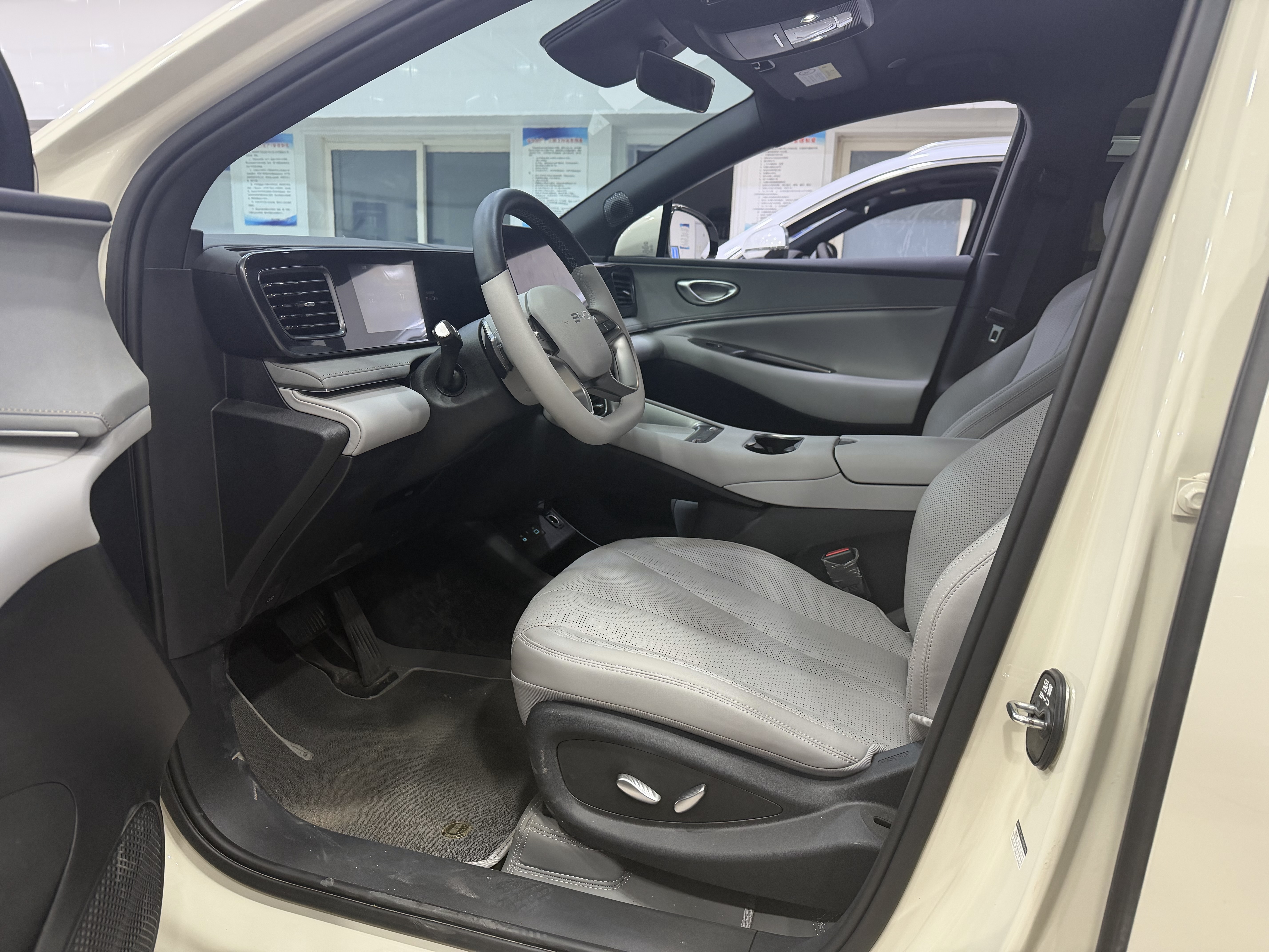 BYD Sea Lion 06 New Energy 2025 car image #4