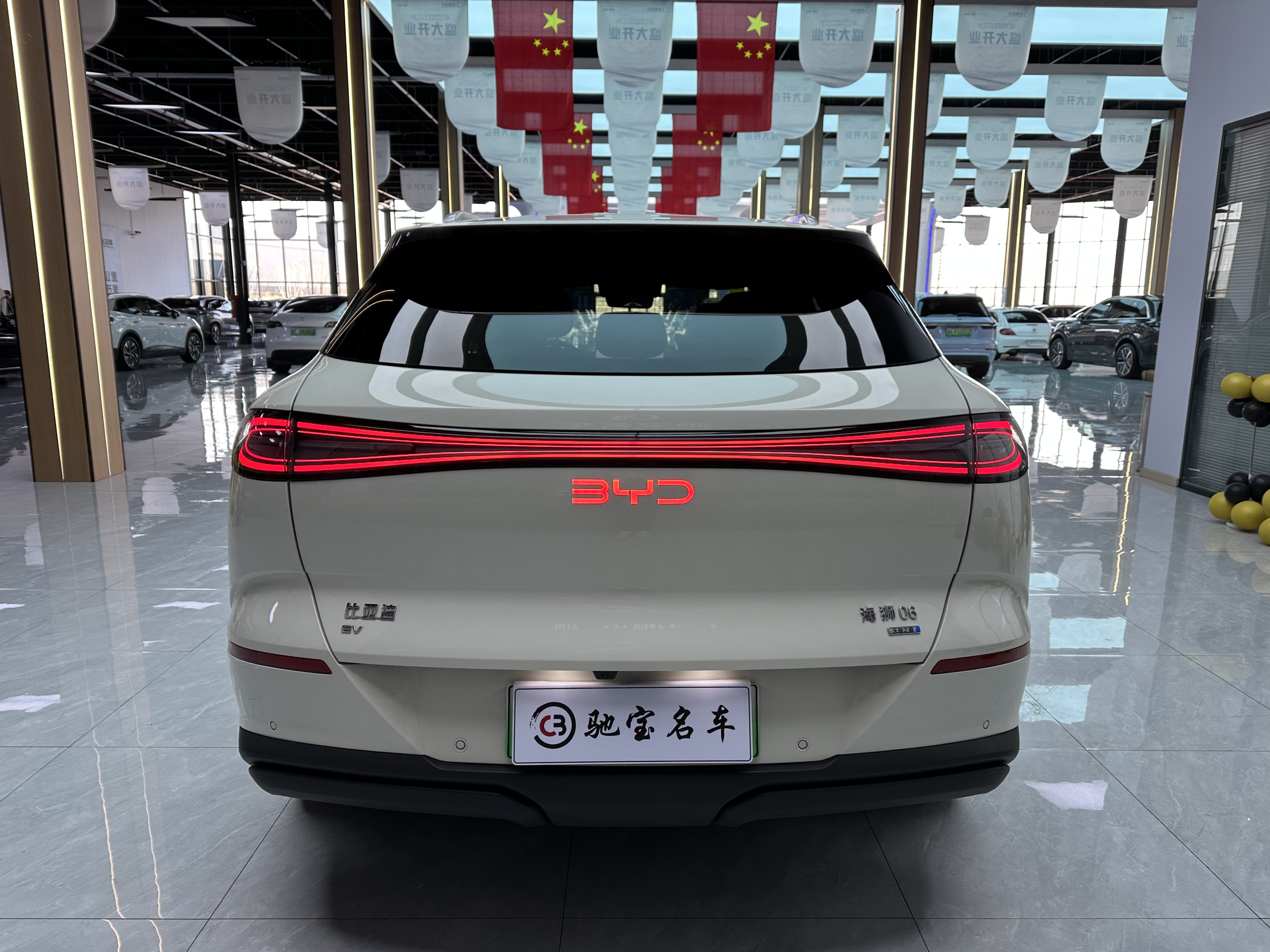 BYD Sea Lion 06 New Energy 2025 car image #4