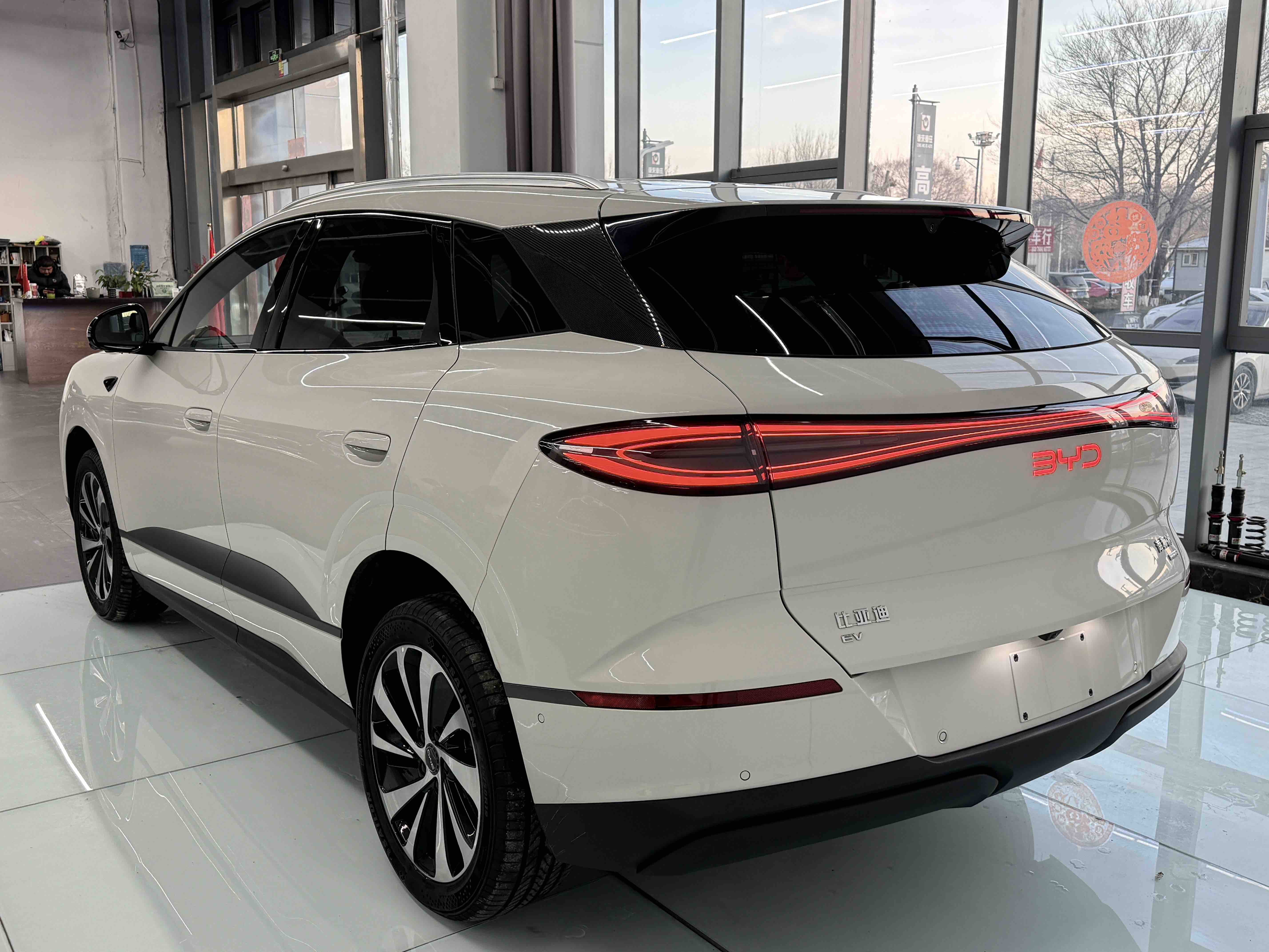 BYD Sea Lion 06 New Energy 2025 car image #4