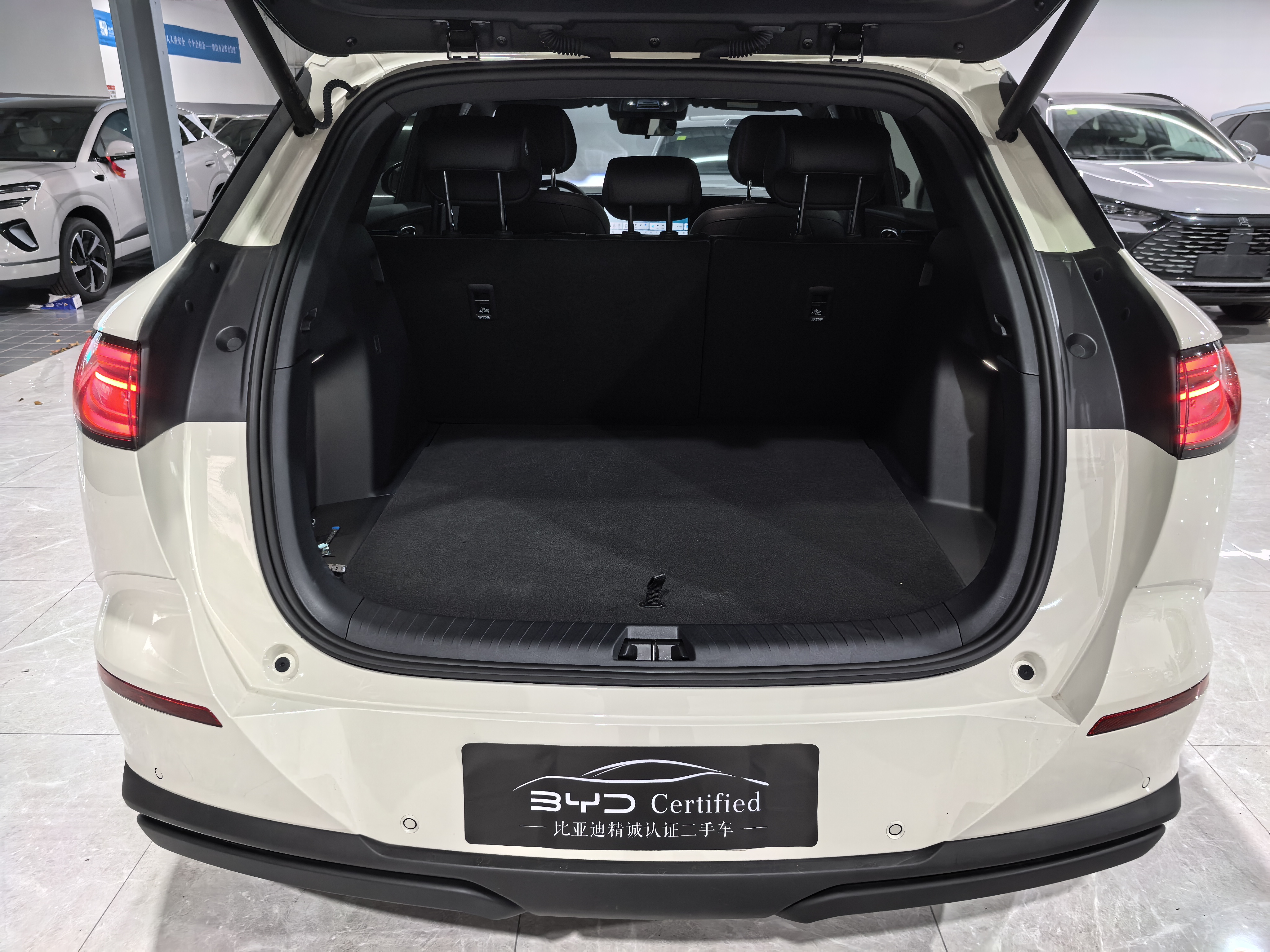 BYD Sea Lion 06 New Energy 2025 car image #4