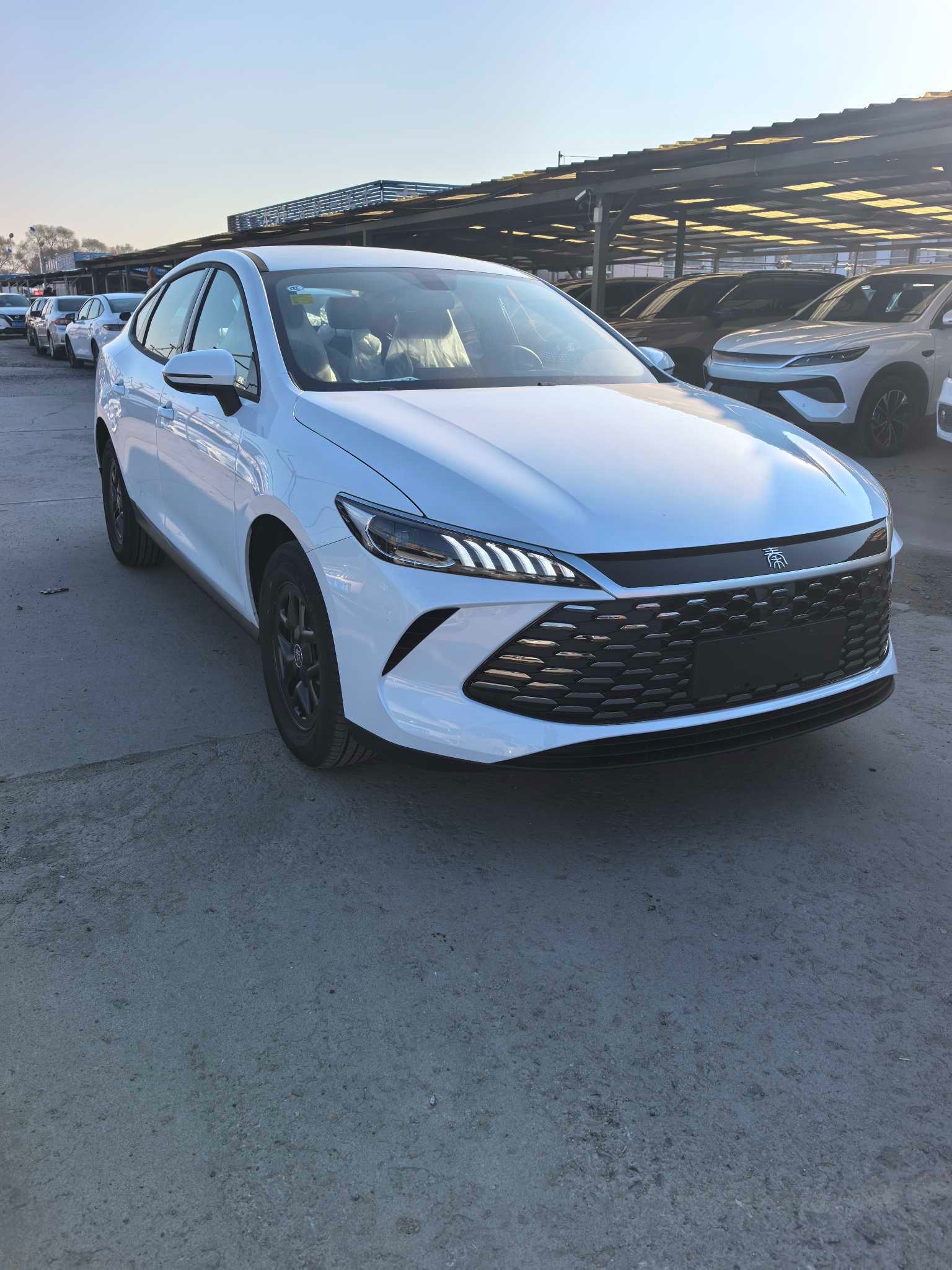 BYD Qin 2025 car image #4