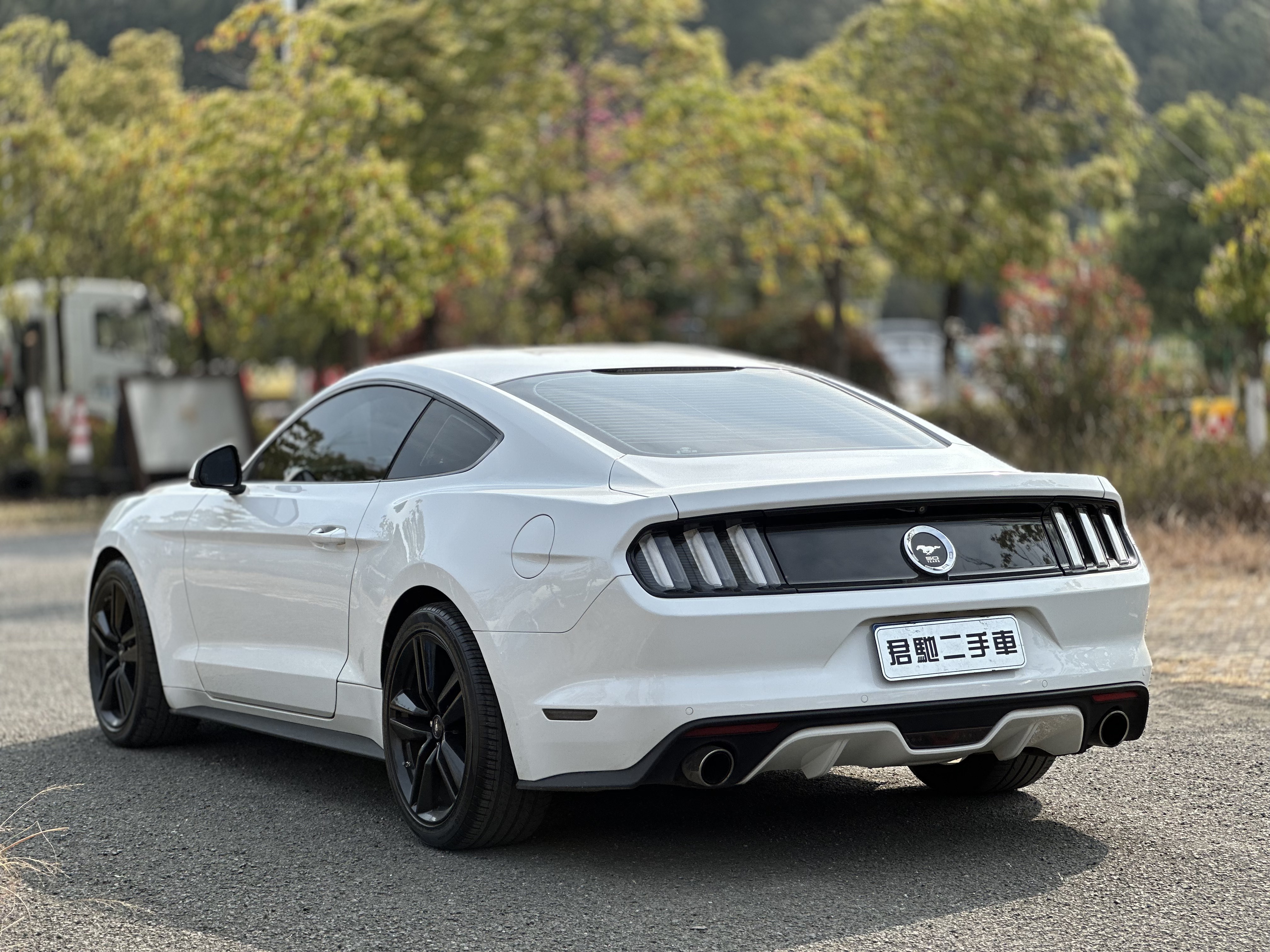 Ford Mustang 2015 car image #4
