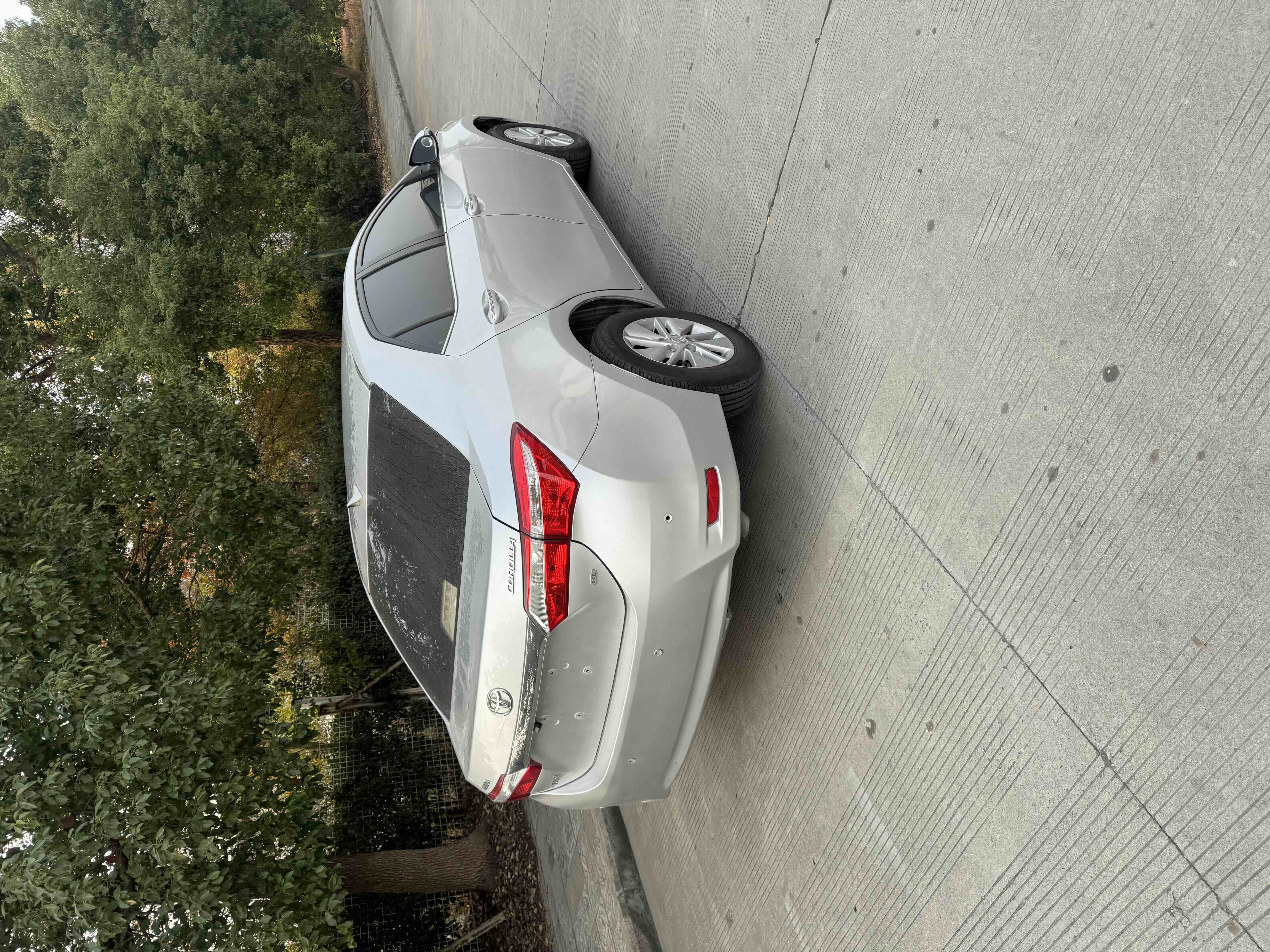 卡罗拉 2015 汽车图片 #4