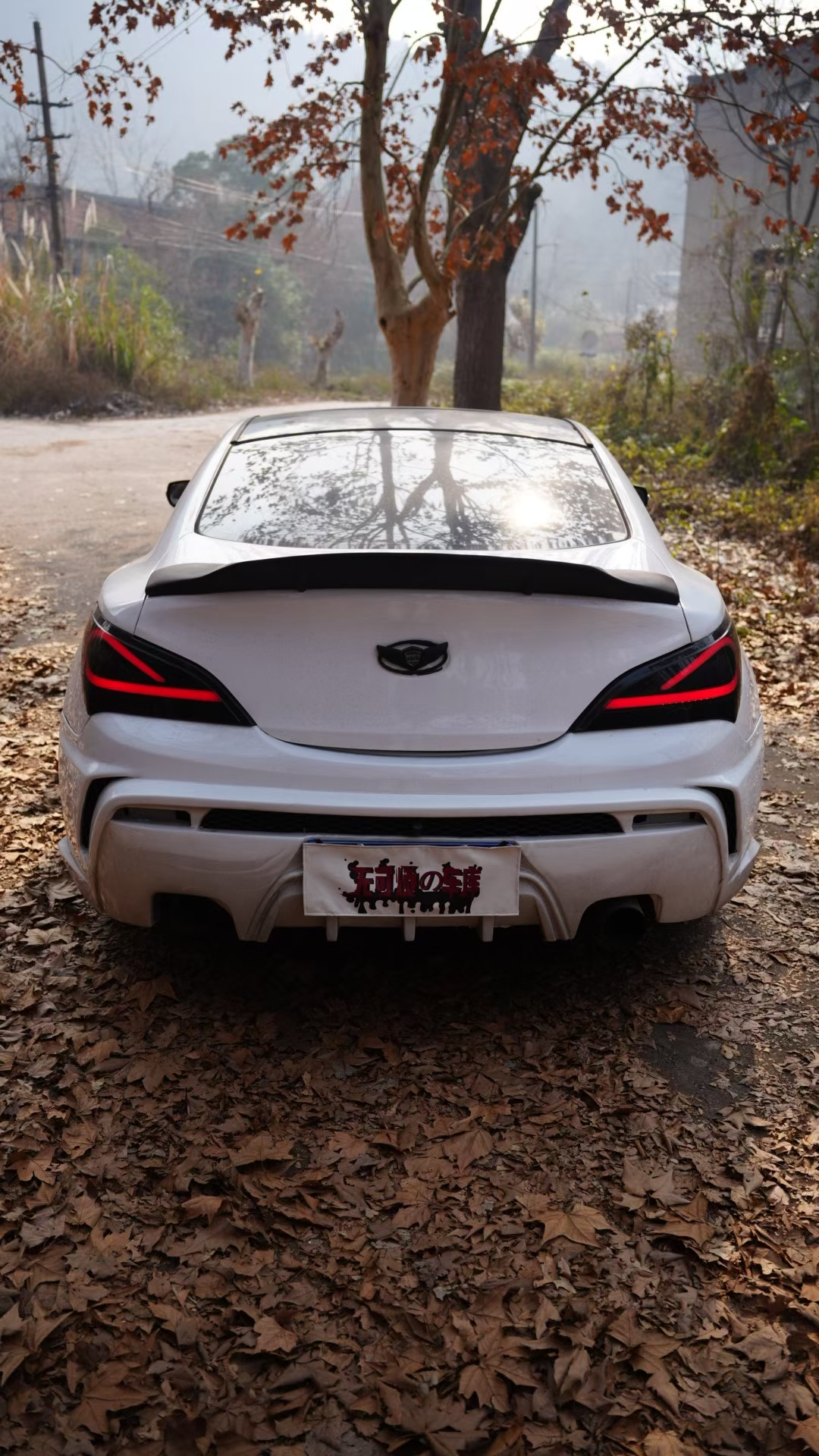 Hyundai Rohens-Coupe 2011 car image #4