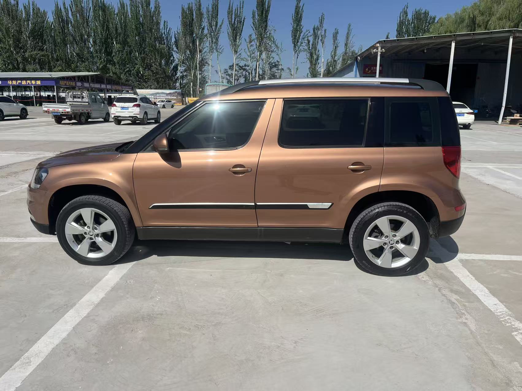 Skoda Yeti 2016 car image #4