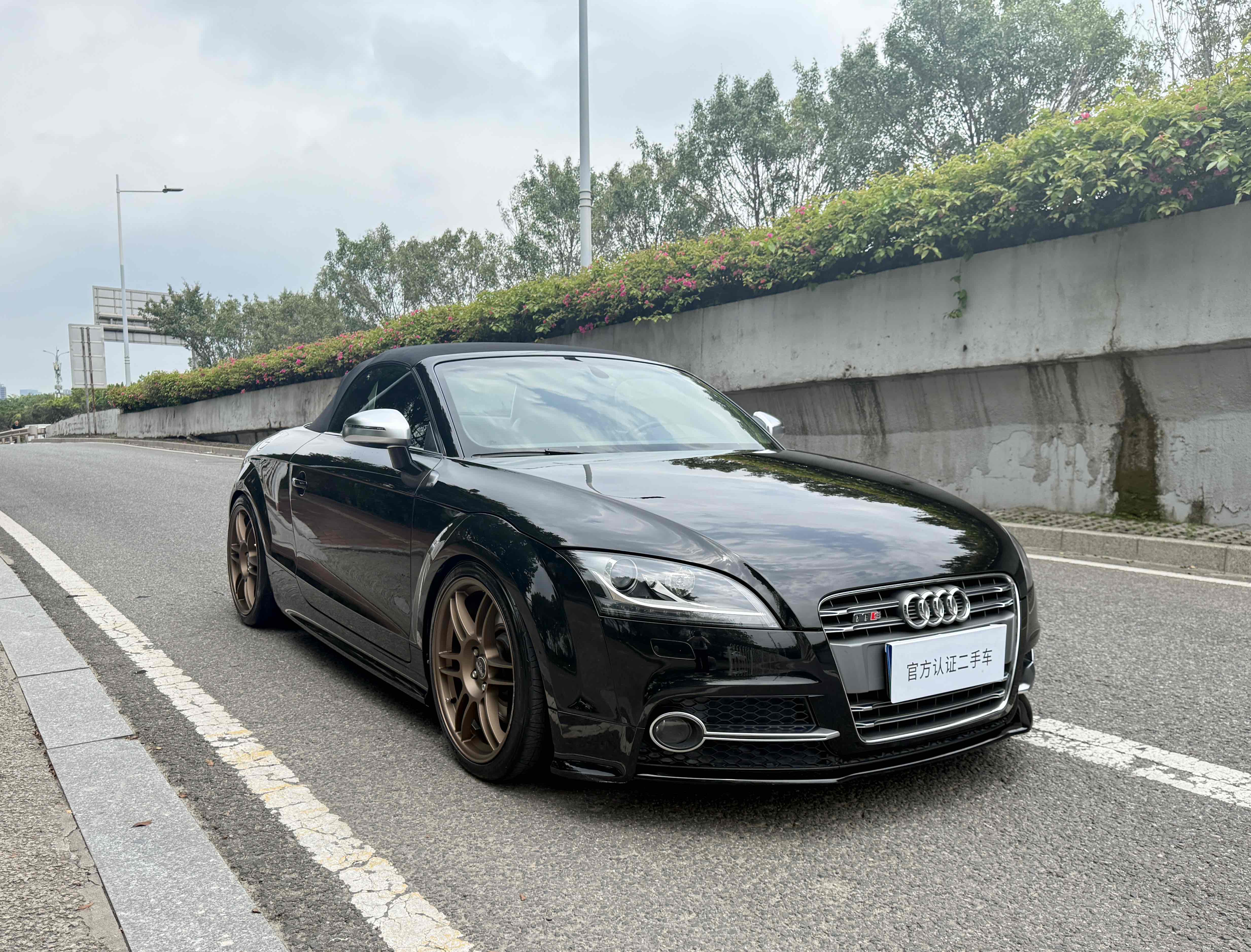 Audi TTS 2011 car image #4