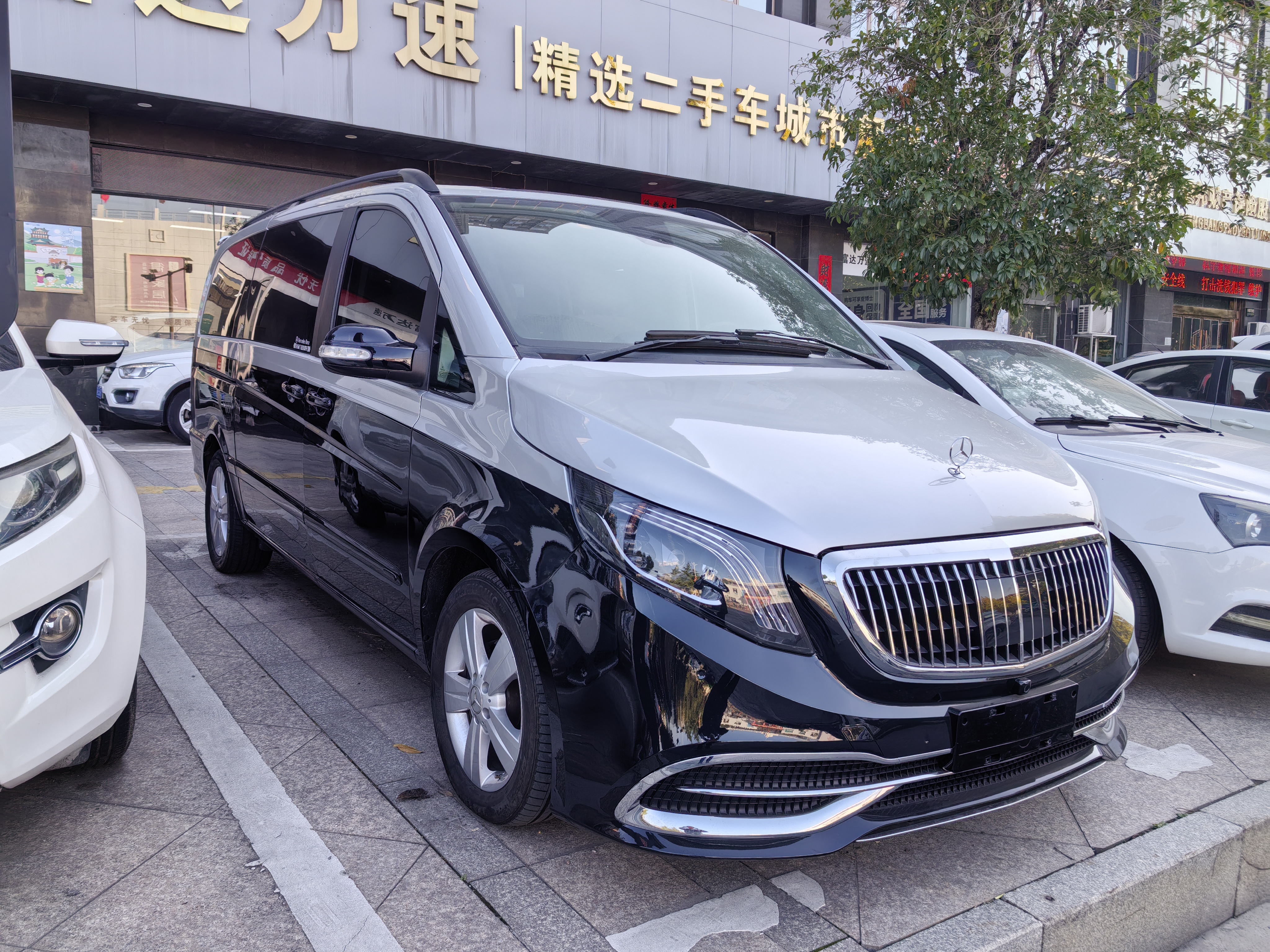 奔驰 唯雅诺 2010 汽车图片 #4