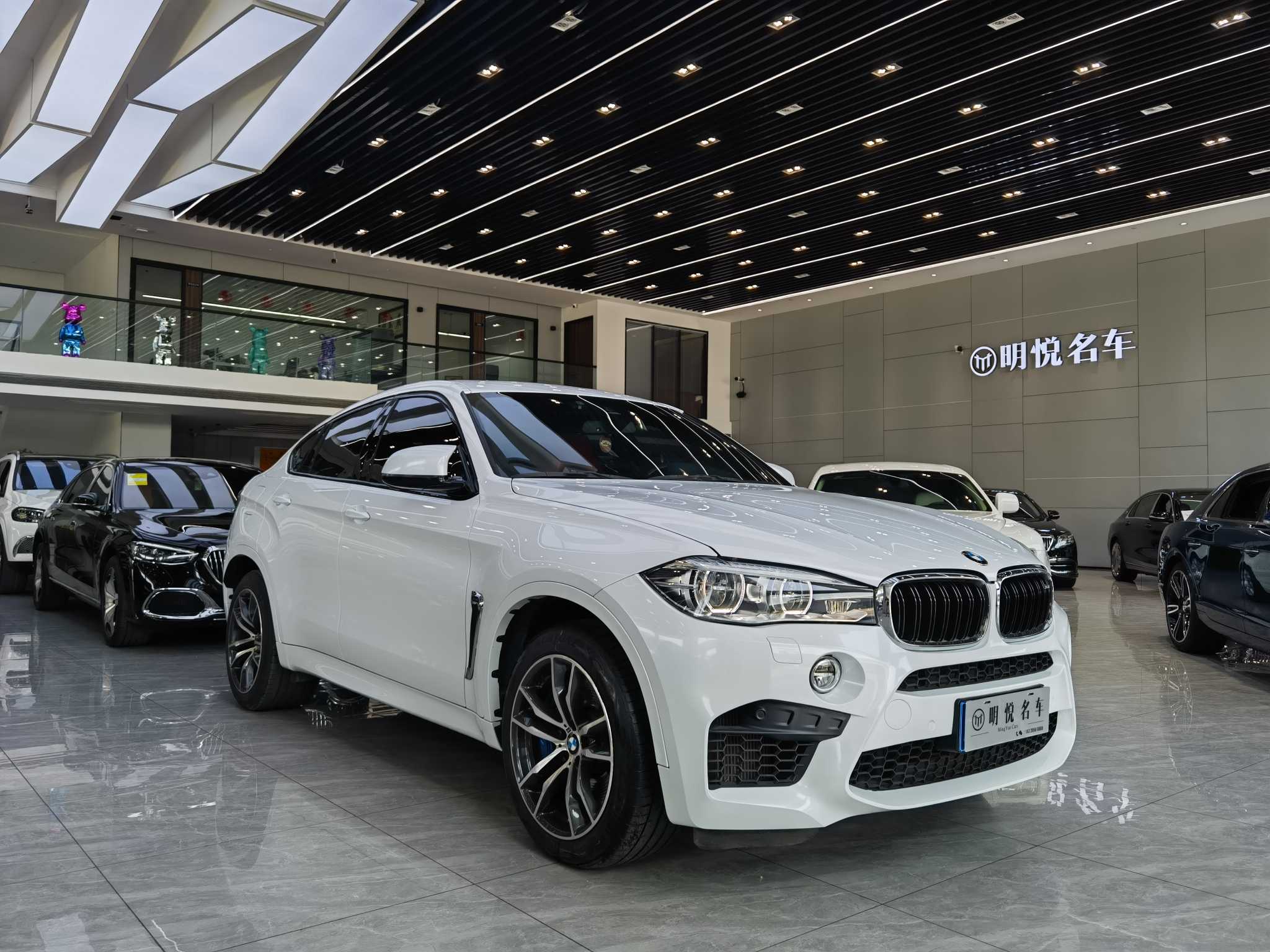 BMW X6 M 2019 immagine di auto #4