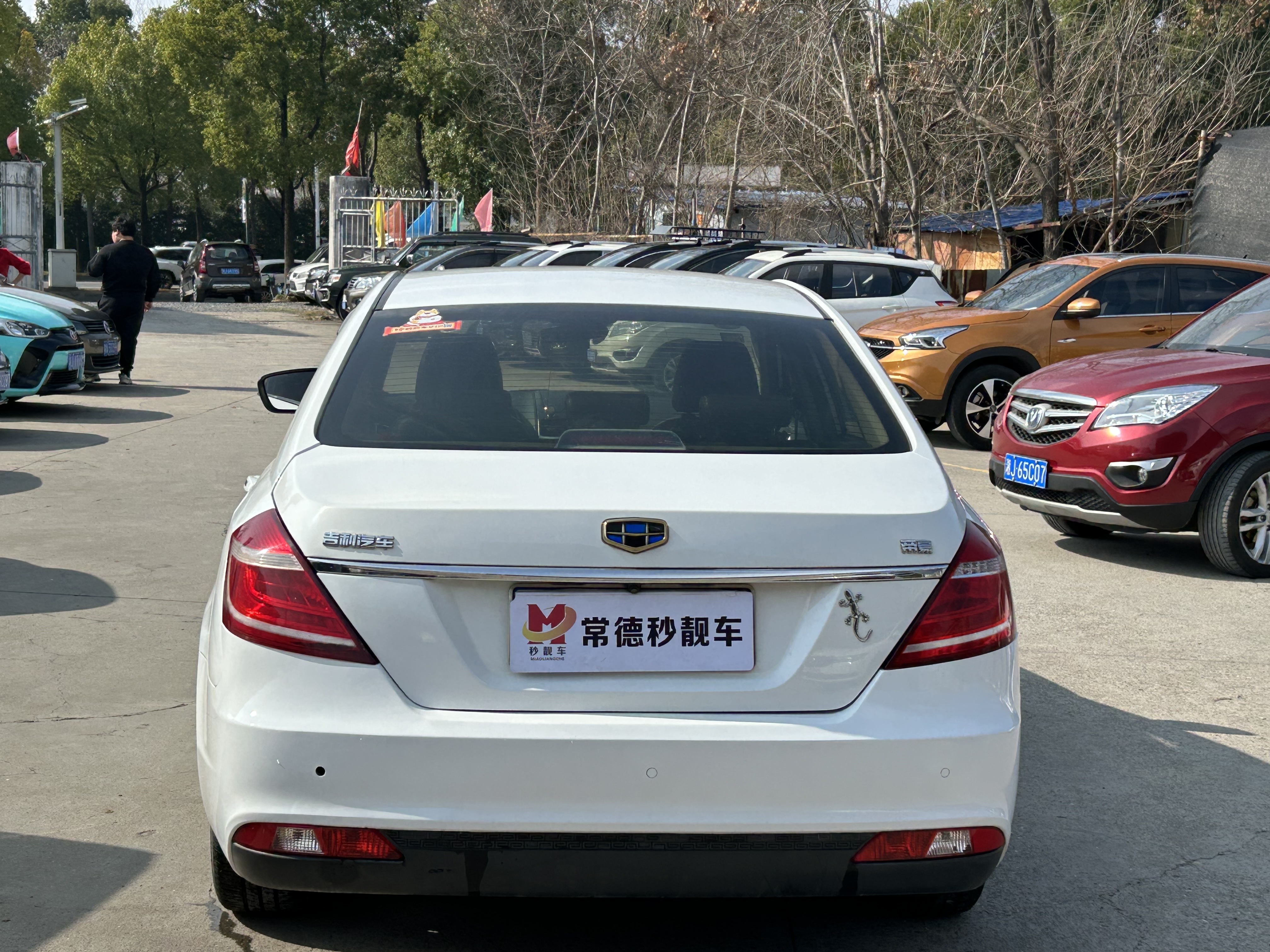 Emgrand 2016 #4 Emgrand 2016 car image #4
