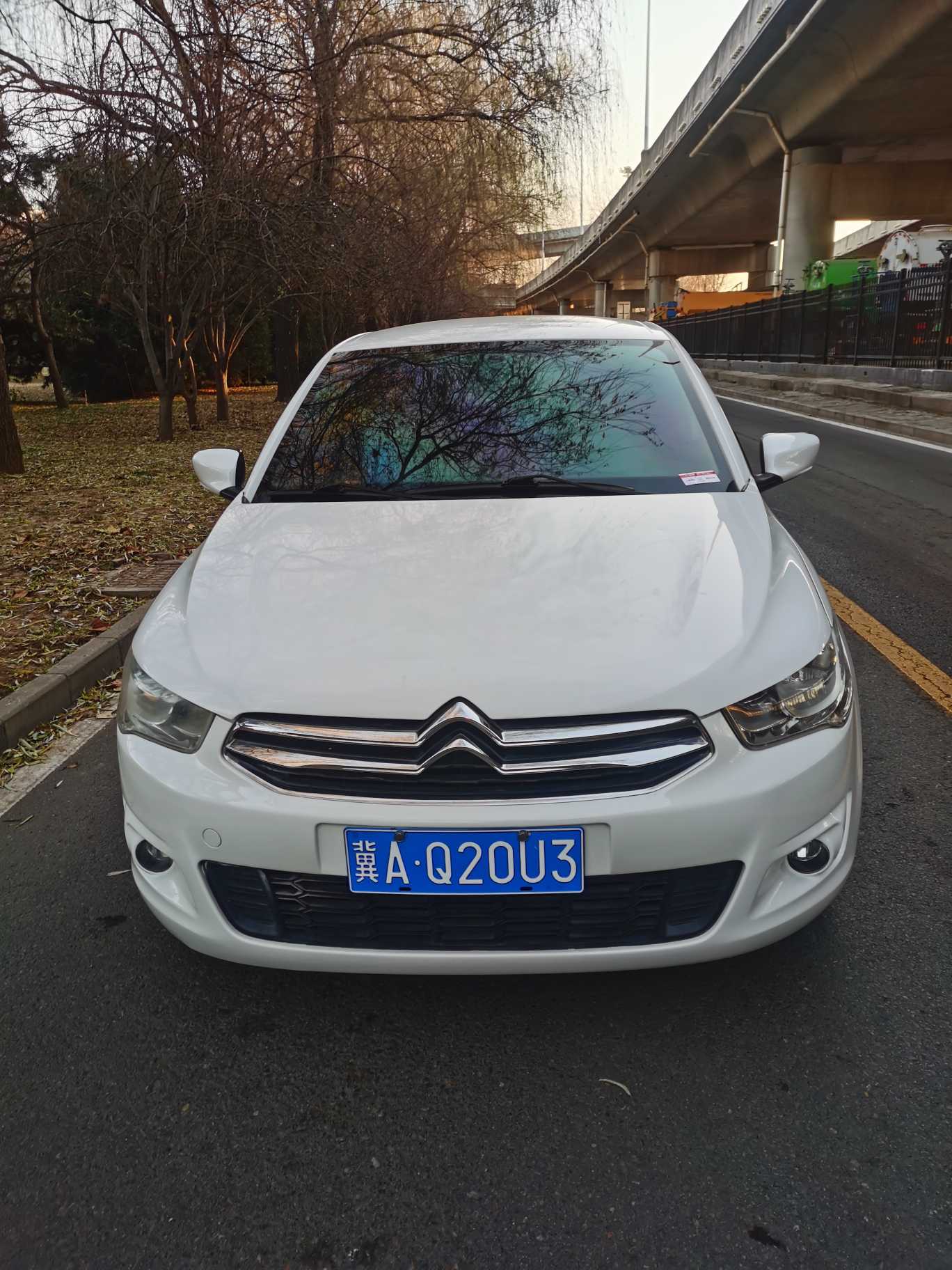 Citroen C-Elysée 2015 imagen de coche #4