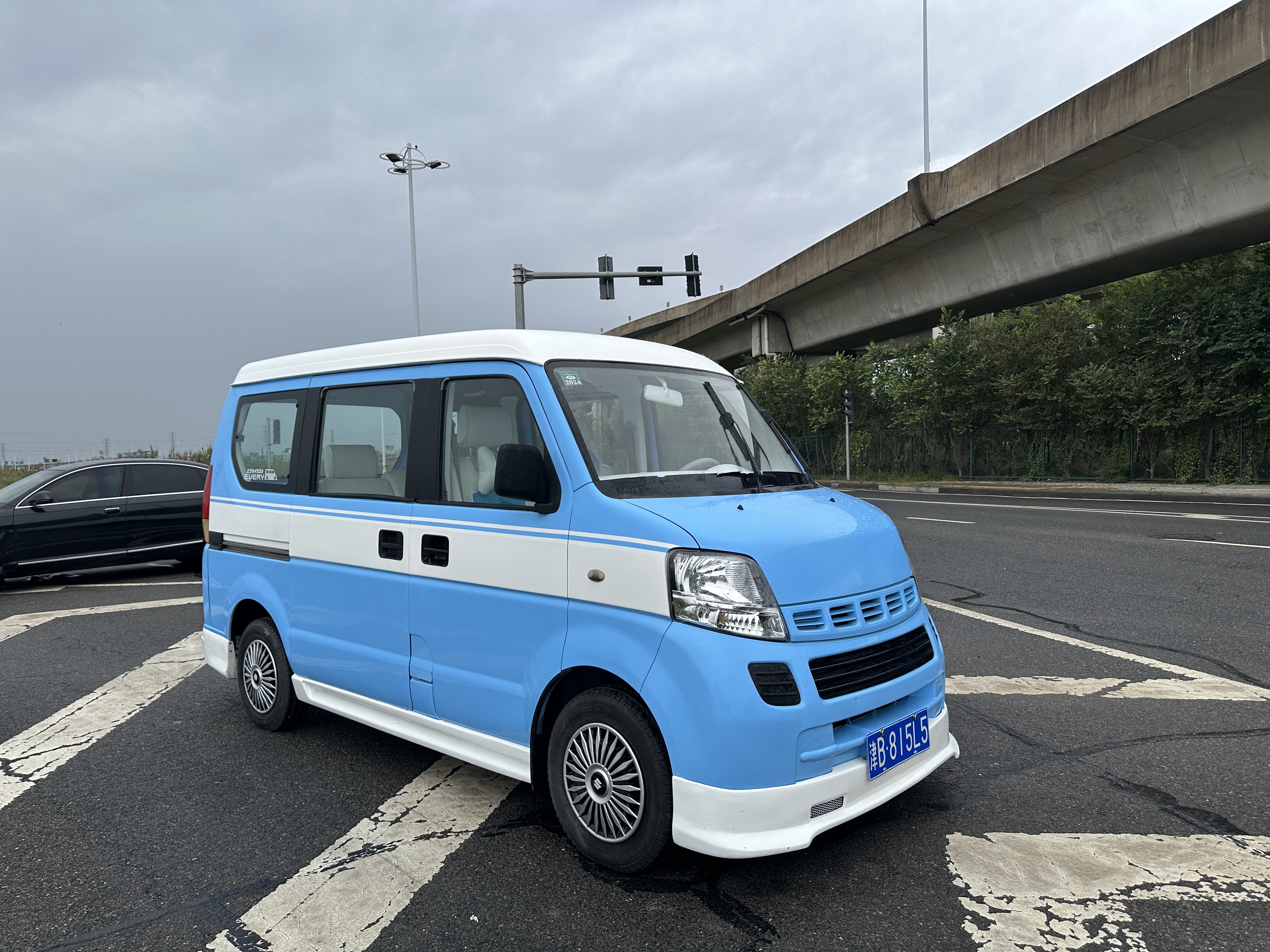 Suzuki Landy 2009 immagine di auto #4