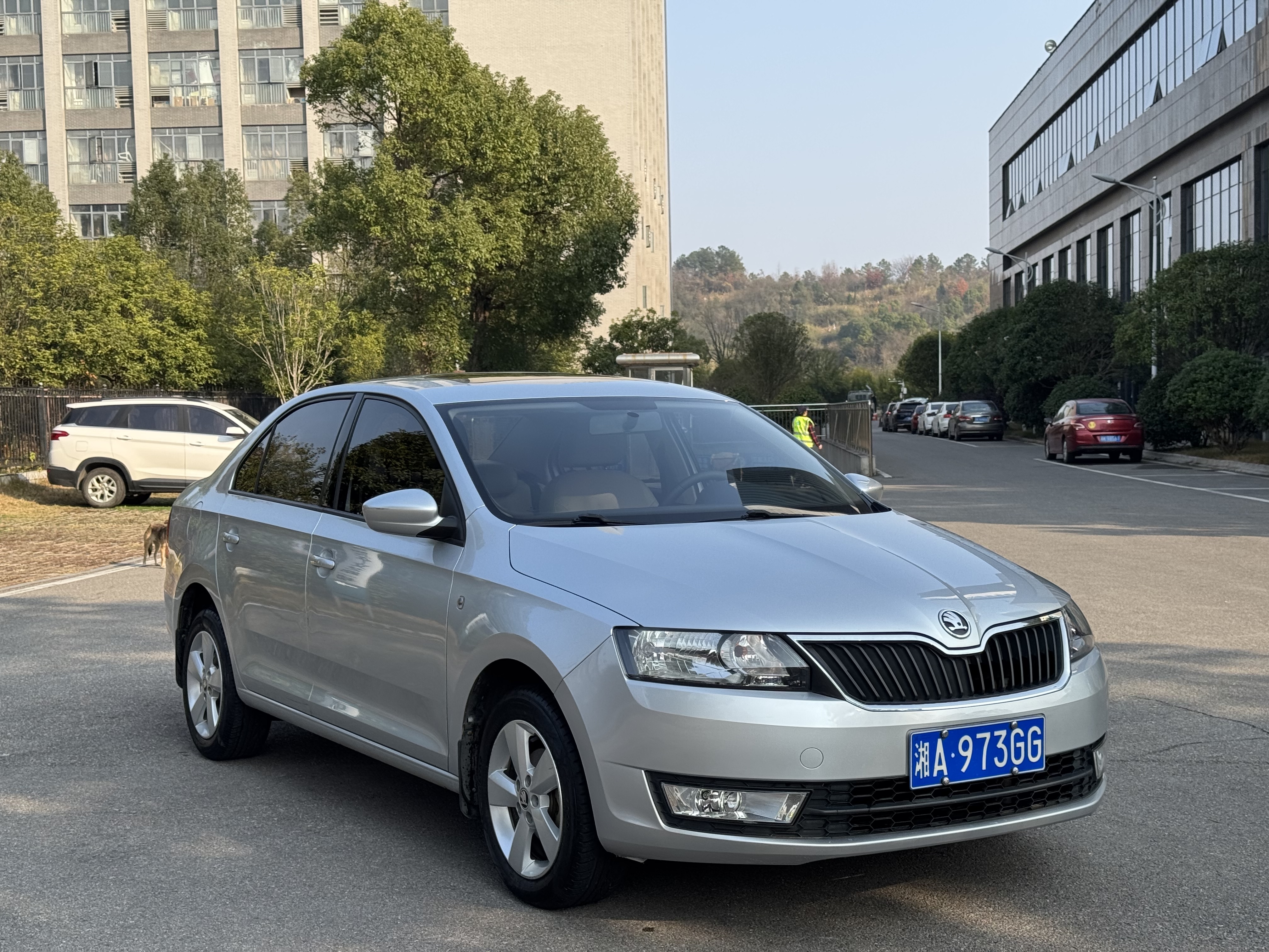 Skoda Rapid 2017 #4 Skoda Rapid 2017 car image #4