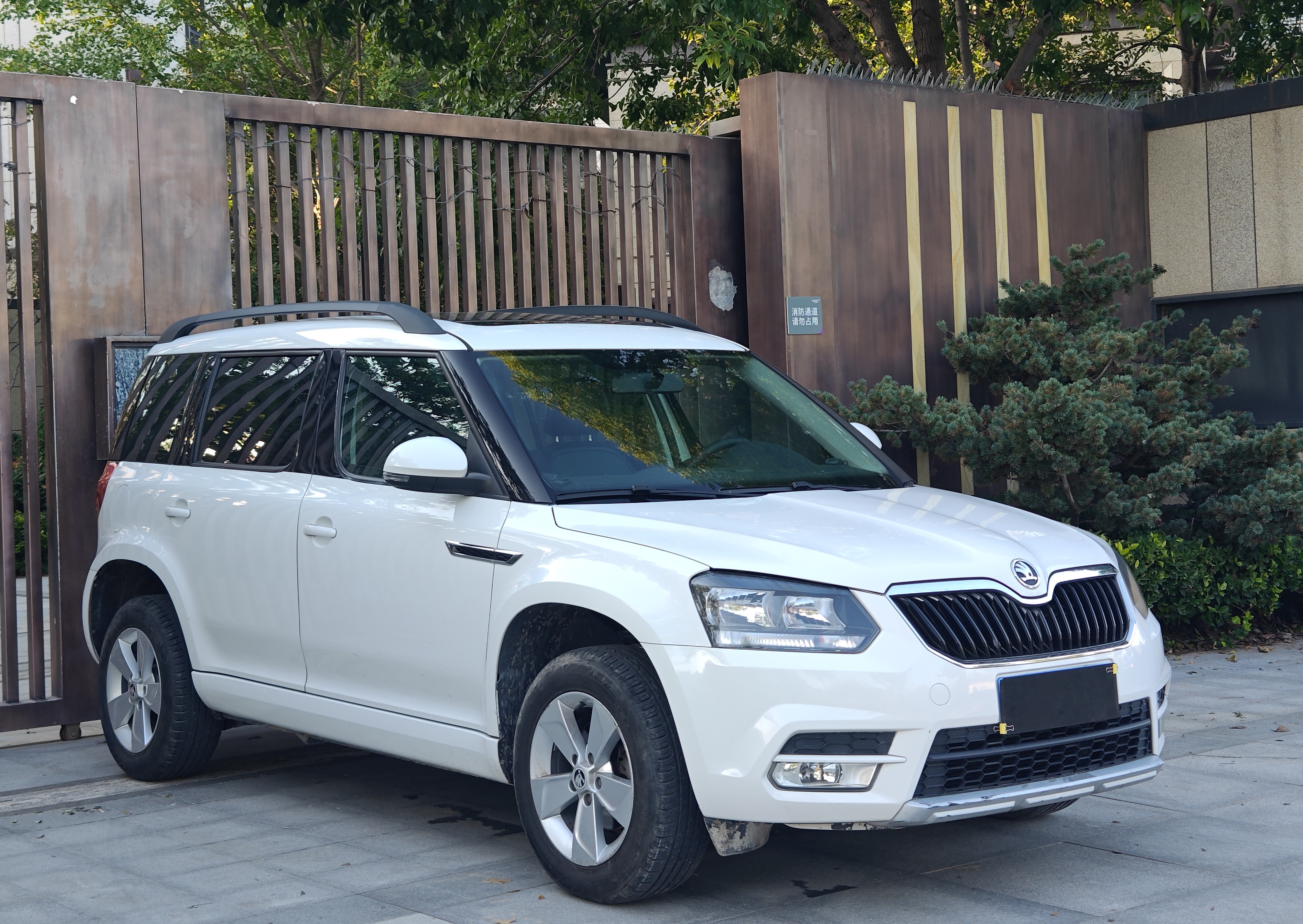 Skoda Yeti 2016 car image #4