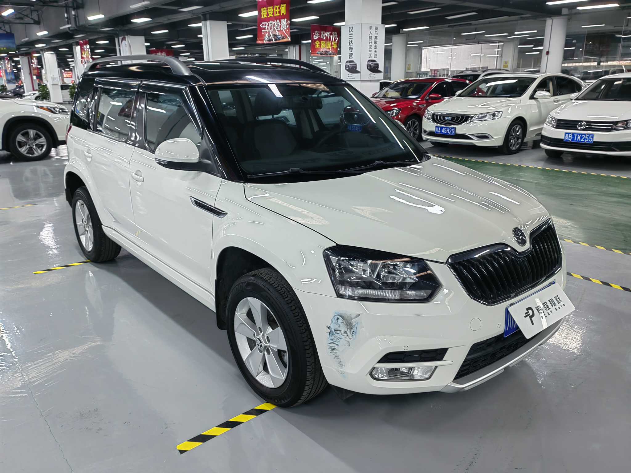 Skoda Yeti 2016 car image #4