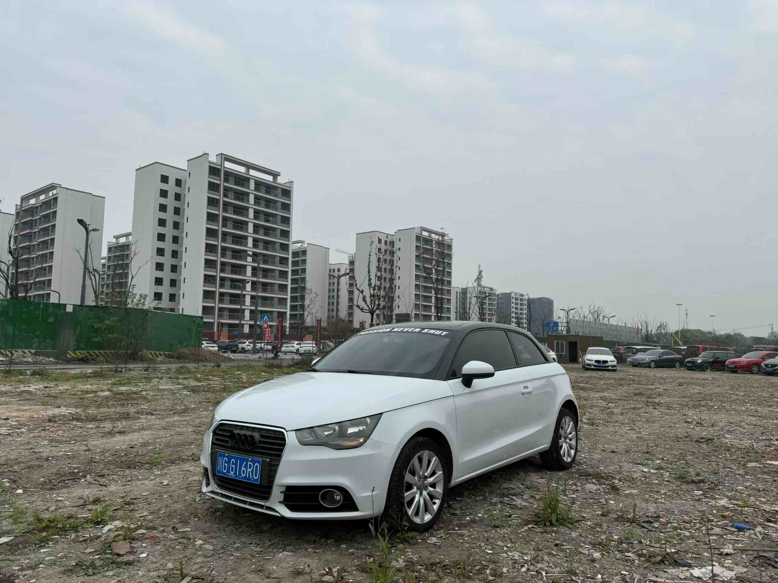 奥迪 奥迪A1 2012 汽车图片 #4