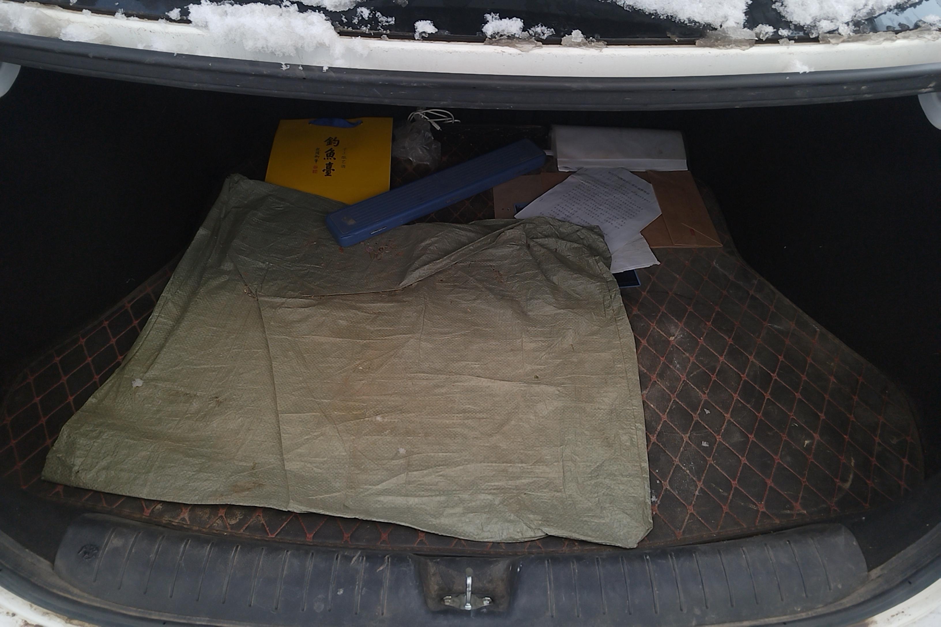 Kia Forte 2020 imagen de coche #4