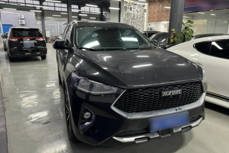 Haval F7 2019 #4 Haval F7 2019 car image #4