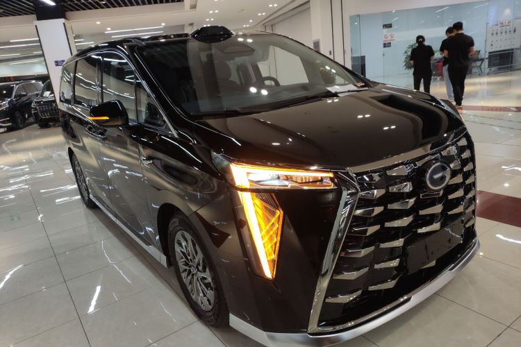 GAC Trumpchi Xiangwang M8 2025 car image #4