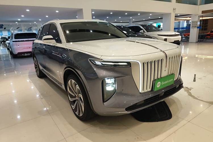 HongQi E-HS9 2022 immagine di auto #4