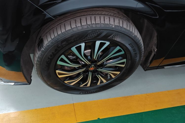 HongQi HQ9 PHEV 2024 immagine di auto #4