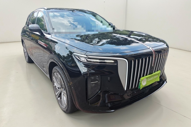 HongQi E-HS9 2022 car image #4