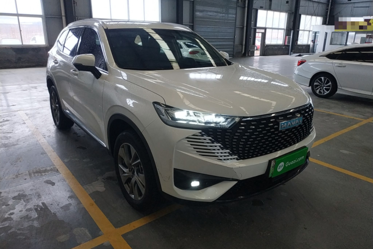 Haval H6 2022 immagine di auto #4