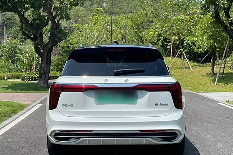 HongQi E-HS9 2021 immagine di auto #4