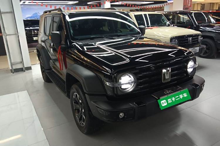 Tank 300 New Energy 2025 car image #4