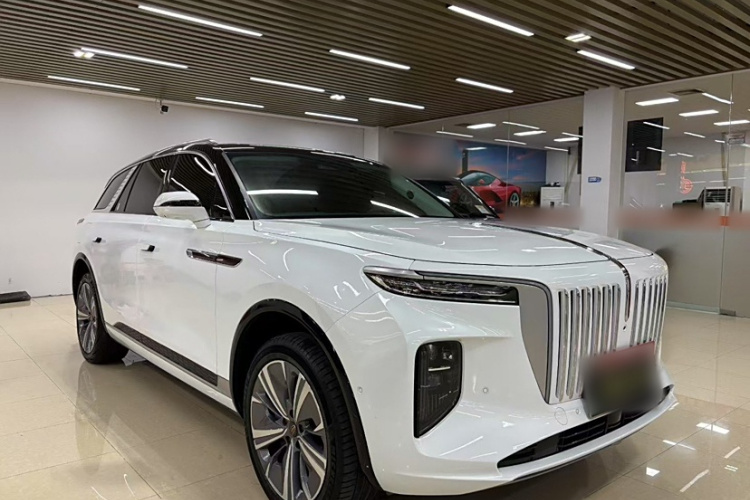 HongQi E-HS9 2021 immagine di auto #4