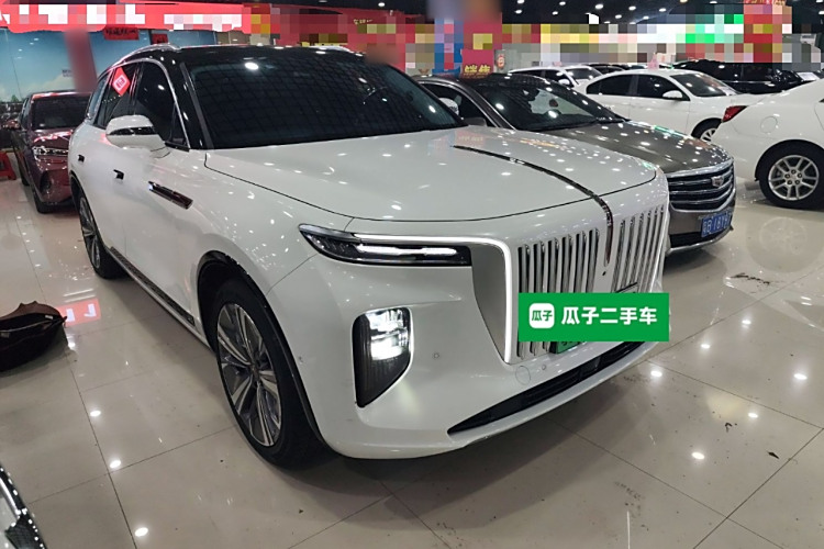 HongQi E-HS9 2021 immagine di auto #4
