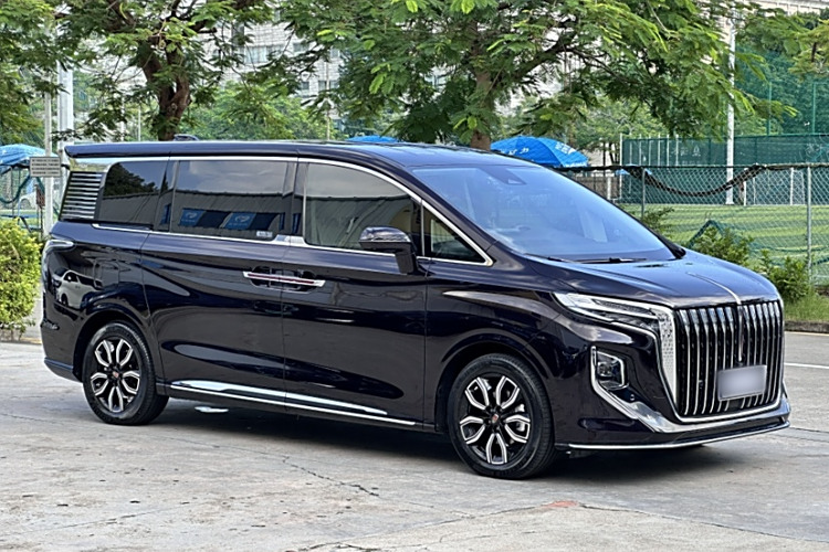 HongQi HQ9 2022 immagine di auto #4