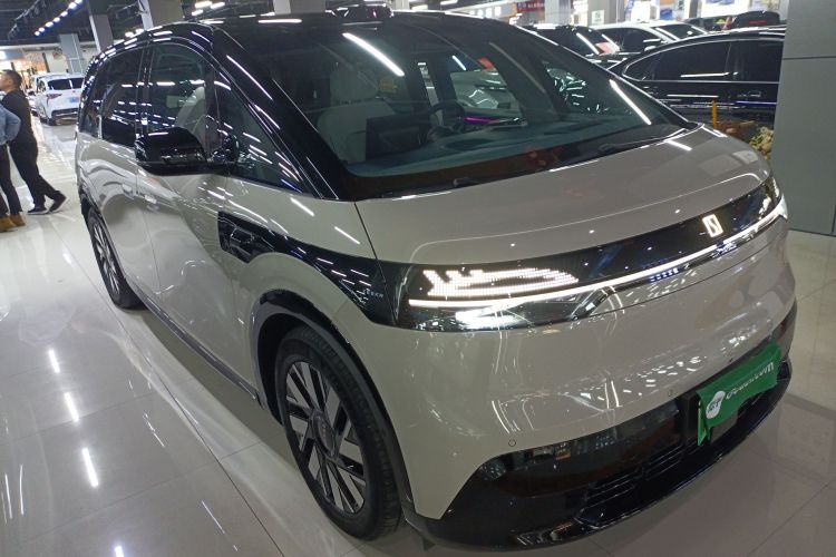 极氪 极氪MIX 2024 汽车图片 #4