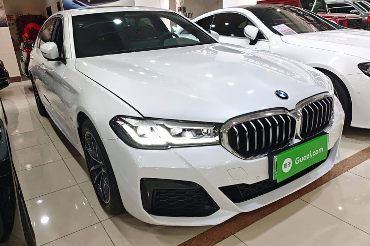 BMW 5 Series New Energy 2021 car image #4