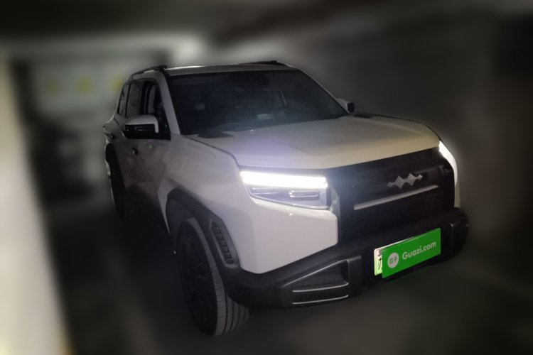 FangChengBao Tiger 3 2025 car image #4