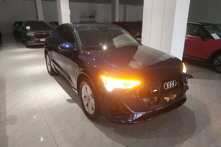 Audi e-tron (Imported) 2022 car image #4