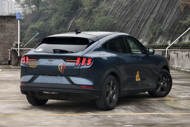 Ford Mustang Mach-E 2024 car image #4