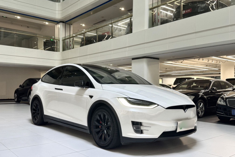 Tesla Model X 2019 car image #4