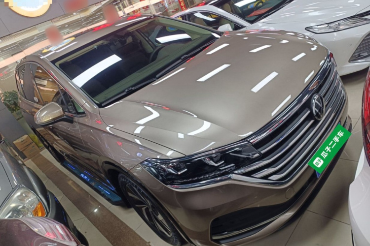 Volkswagen Viloran 2020 car image #4