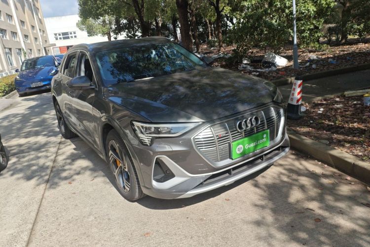 Audi e-tron 2022 imagen de coche #4