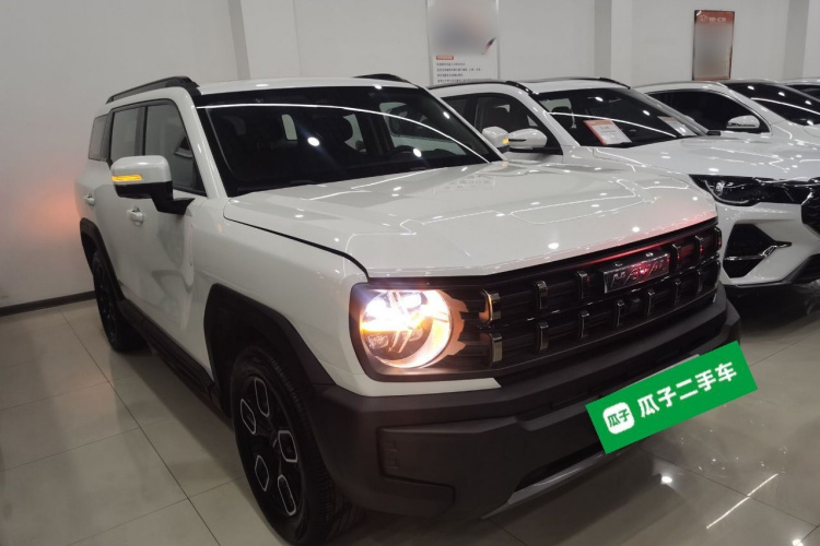 Haval Dargo 2023 car image #4