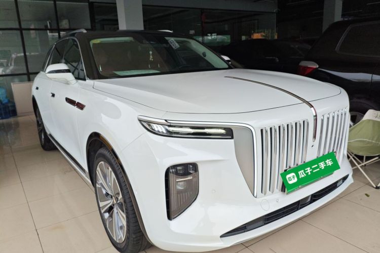 HongQi E-HS9 2021 immagine di auto #4