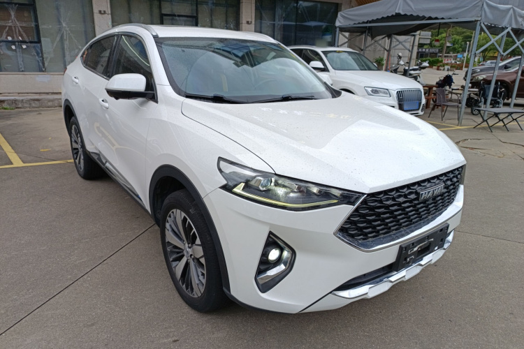 Haval F7x 2020 #4 Haval F7x 2020 car image #4