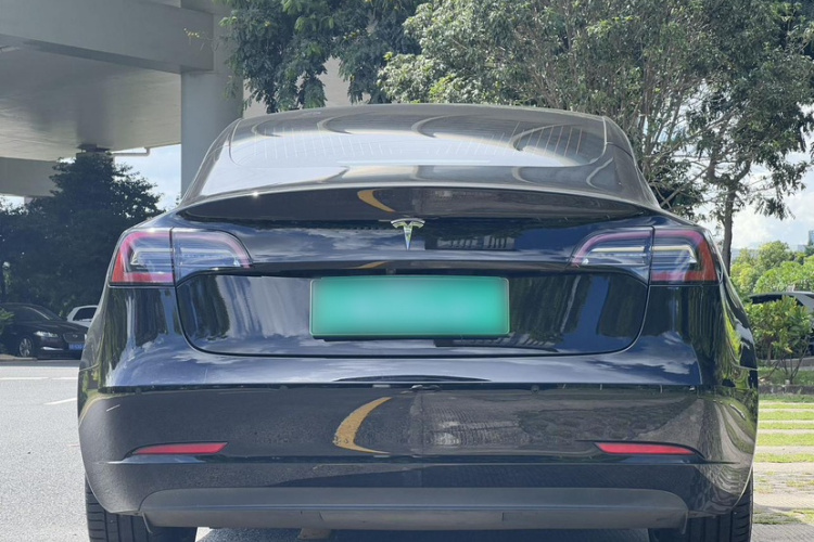 特斯拉 Model 3(进口) 2019 汽车图片 #4