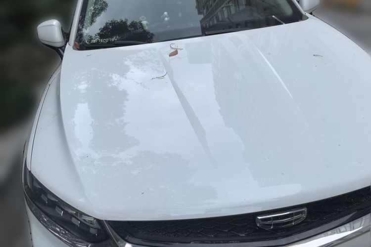 GEELY Tugella S 2021 car image #4