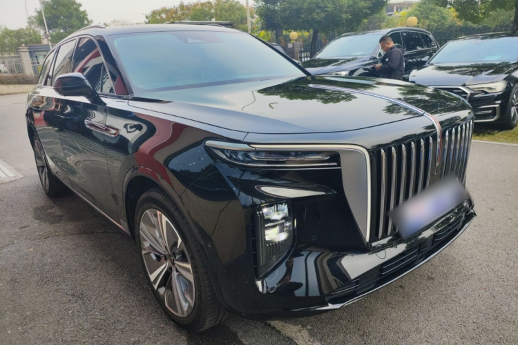 HongQi E-HS9 2022 #4 HongQi E-HS9 2022 car image #4